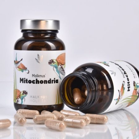 Mitochondria, 60 Kapseln - LifeStyle Quality Online-Shop